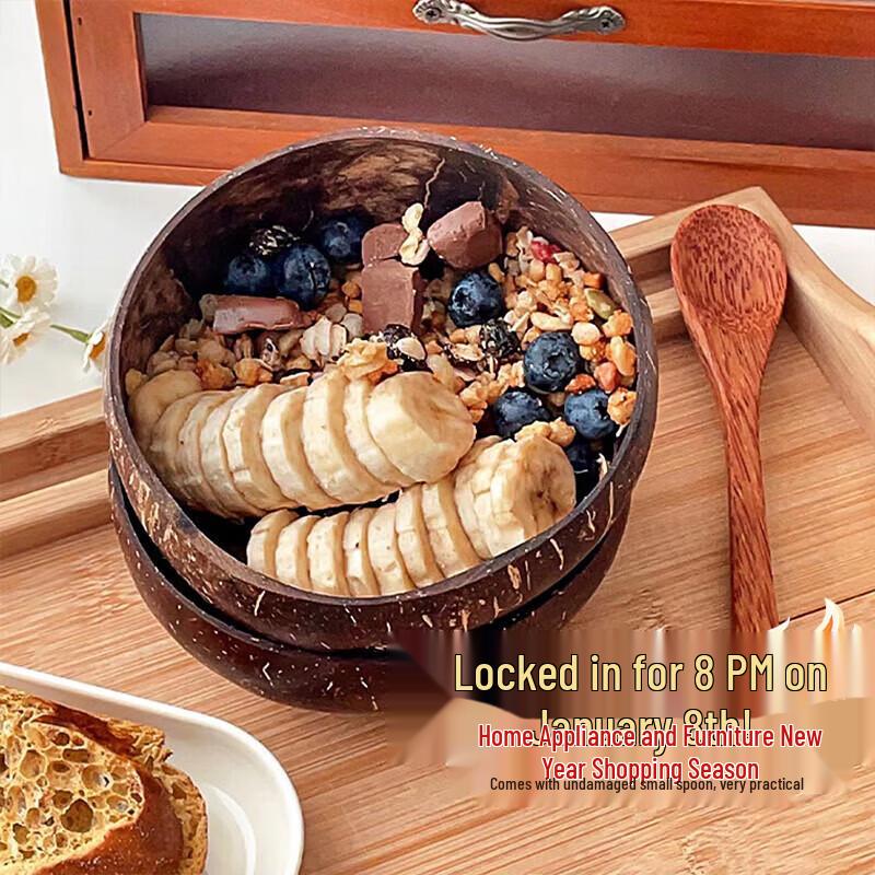 Natural Coconut Shell Bowl with Spoon