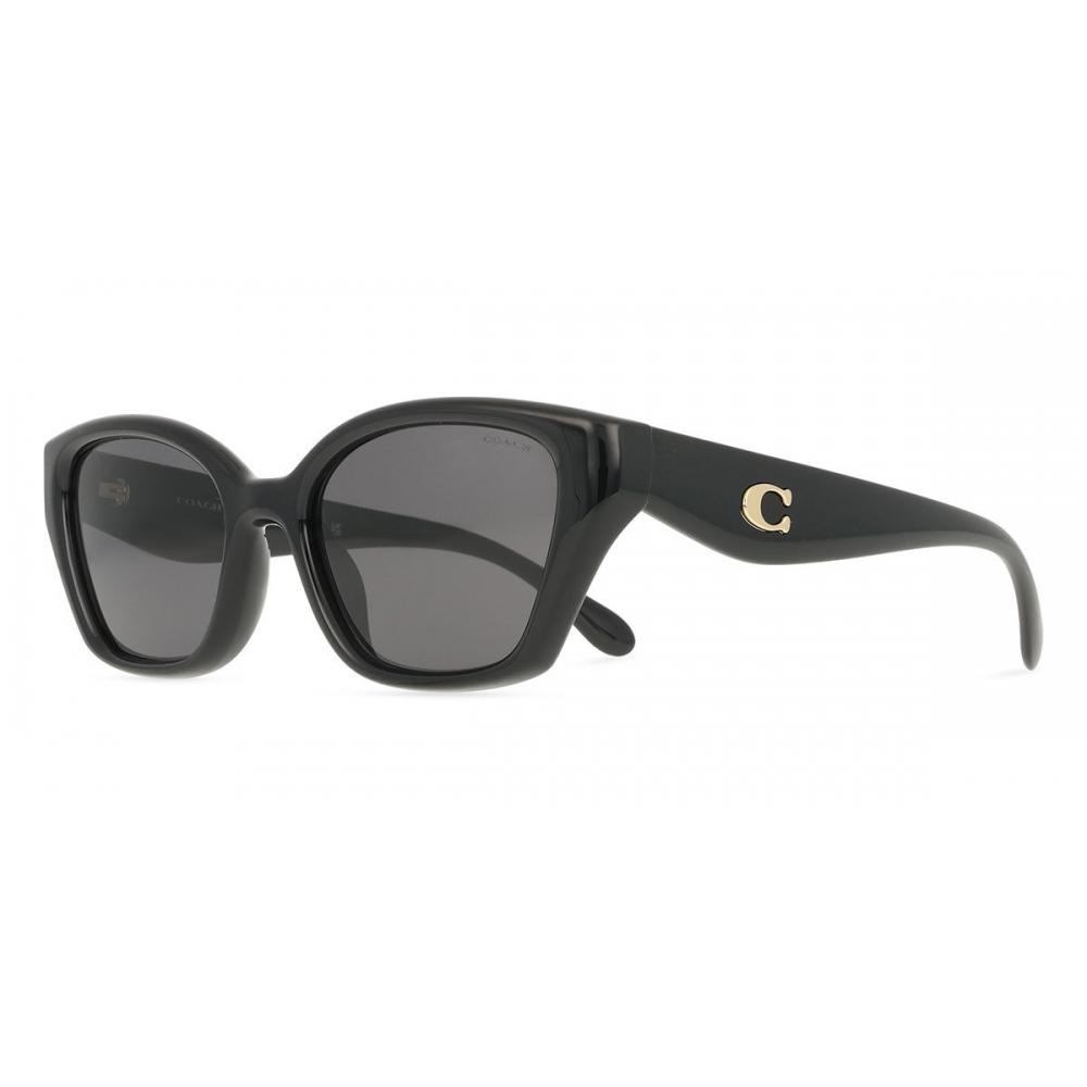 Coach Women Sunglasses Hc8434u Cby91