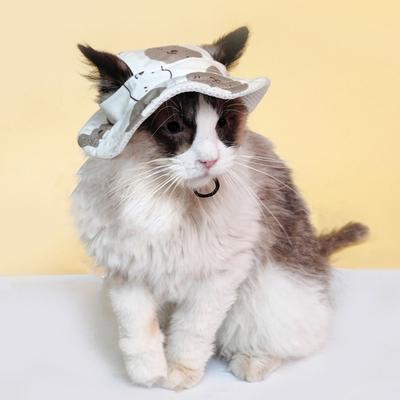 Cartoon Dog Fisherman Hat Breathable Adjustable Dog Sunshade Hats with Ear Holes Sun Protection Pet Sun Hat for Cats Dogs