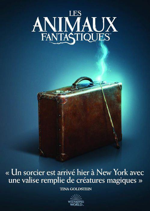 Dvd film les animaux fantastiques