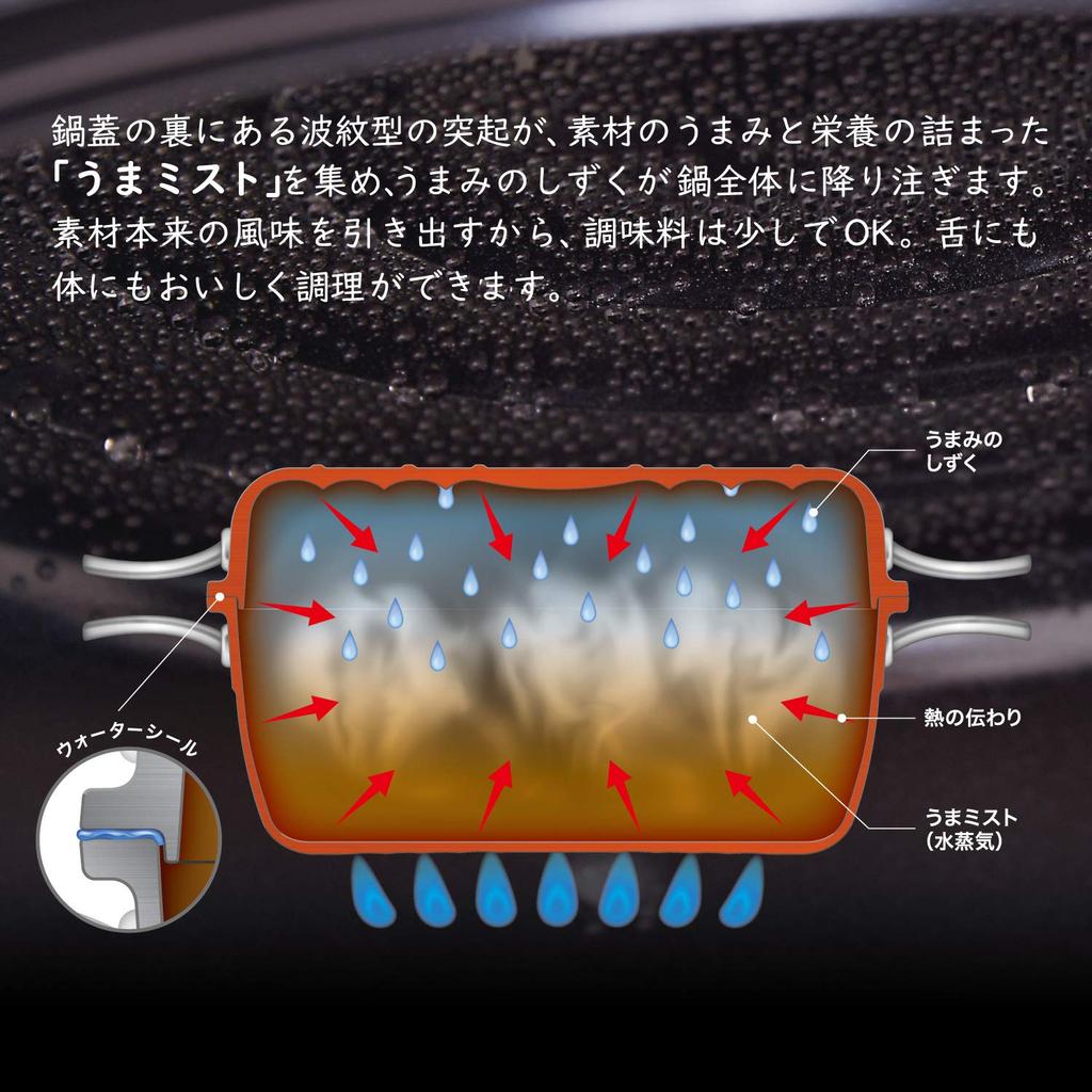 Hokuriku Aluminum 21cm Two-Handled Pot, IH Compatible, Lightweight, HAMON, Shirogane, Ceramic-Coated, Made In Japan, A-2033