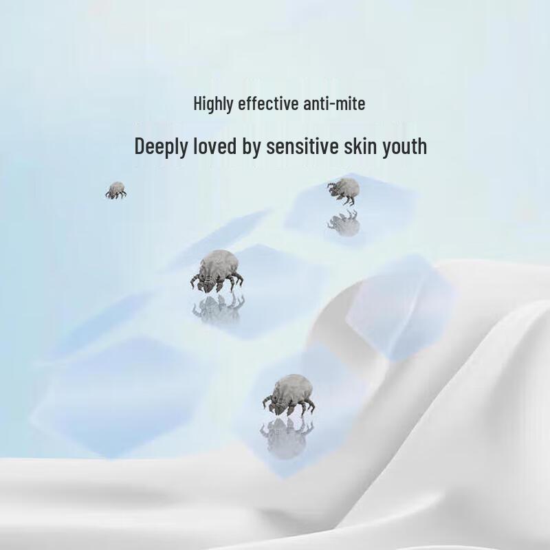 

Changbo Silk Cotton Blend Quilt