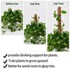Detachable Moss Pole 32/42/52cm To Grow Upwards Plant Climbing Pole Gardening Tools Plants Climbing Support Outdoor