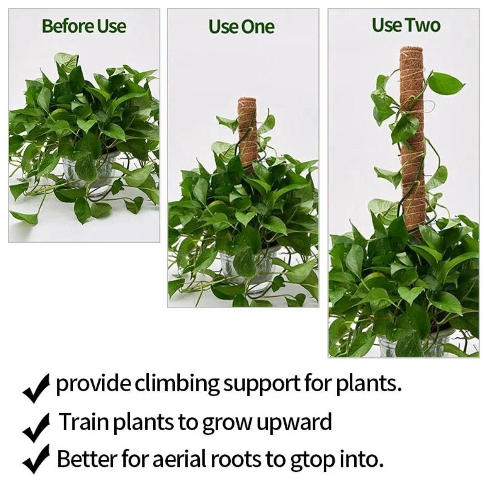 Detachable Moss Pole 32/42/52cm To Grow Upwards Plant Climbing Pole Gardening Tools Plants Climbing Support Outdoor