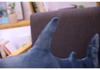 Popular Cute Shark Hug Pillow Plush Toy Pendant