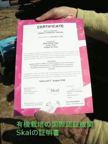 Ifweb Organic Maca Grain Absorption 100g 334 Grains X 10 Bags Set Organic Maca Supplement (High Type) Additive-Free (100% Maca)