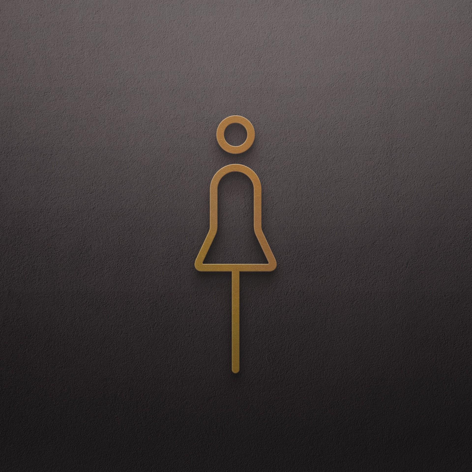 

Черный золотой цвет туалетная табличка латунная дверь туалета настенная этикетка наклейка держатель для туалета вывеска