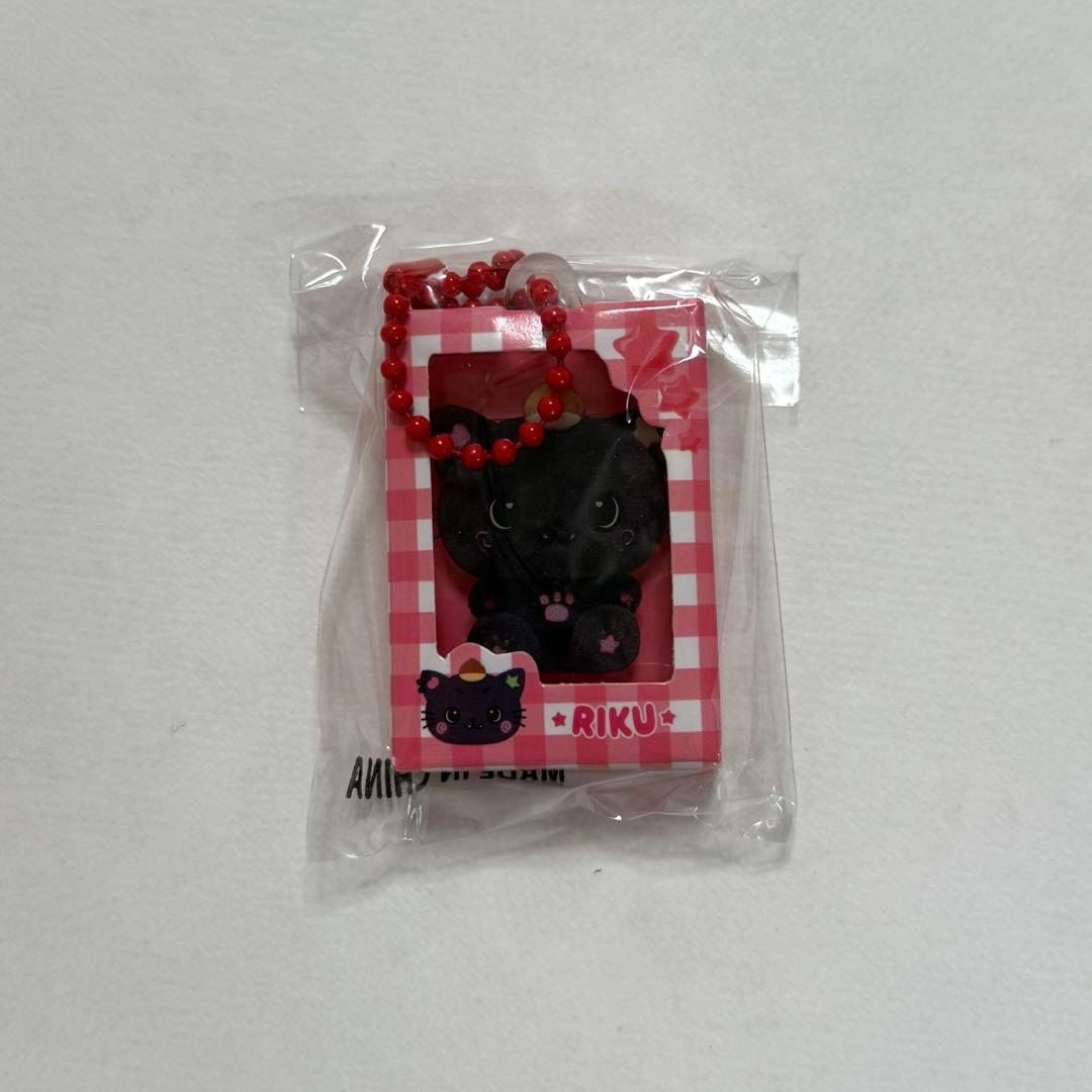 [USED] NCTWISH COLOR POPUP Gacha Keychain Riku Kuri