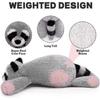 Weighted Stuffed Animals - Weighted Stuffed Animals For Anxiety, Racoon Weighted Plush Animals Raccoon Stuffed Hugging Plush Animal Toy For Baby 25-26