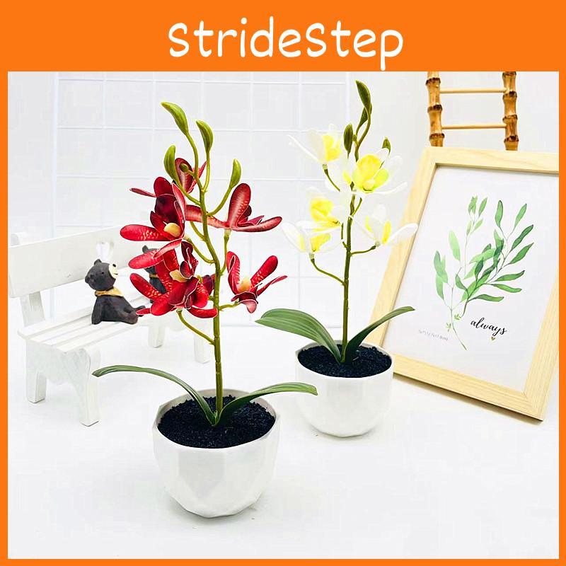 Potted Phalaenopsis Simulated Artificial Artificial Flower Ornament Desktop