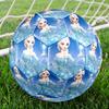 Elsa Theme Size 5 Soccer Ball, Suitable for Both Indoor and Outdoor Matches, a Gift Suitable for Everyone.