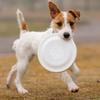 Aisenweil Professional Freestyle Puppy Training Frisbee for Border Collies