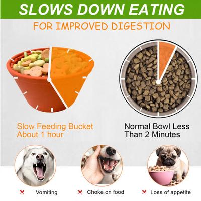 Chiens – Gamelles pour chiens