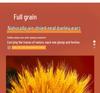 Golden Barley Ear Faux Flower Arrangement for Home Decor - Perfect for Living Room, Dining Table, Weddings & Special Occasions