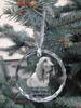 Redbone Coonhound – Crystal bauble with a photo, dog photo in crystal | Art-Dog