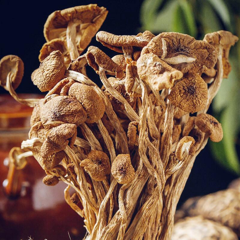 Dried Tea Tree Mushrooms Yunnan Bulk Wholesale Natural Healthy Snack