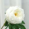 feel moisturizing simulation peony flower, home decoration simulation flower, hotel front desk arrangement studio shooting prop flower
