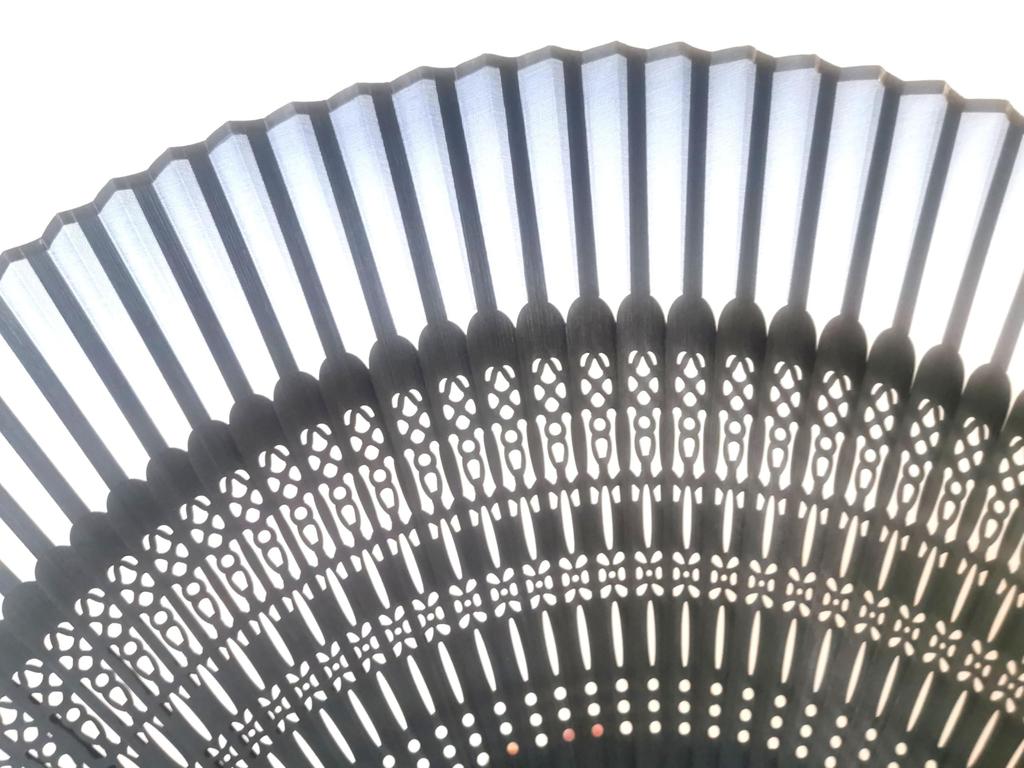 VX Folding Openwork Glossy Silk with Fan, Design, Frame, Fabric, Black, 22cm, Pouch, VX-159-26-001