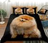 Pomeranian Dog King Queen Duvet Cover Puppy Bedding Set For Teens Adults Pet Animal Colorful Sky 2/3pcs Polyester Quilt Cover