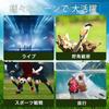 SVBONY SV21 10x High Brightness Field of High Suitable for Live Sports and Idol Concerts Binoculars, 42mm, Magnification, 16, 5.8° View,