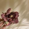Cloth Rose Shark Clip Korean Style Seaside Vacation Headwear Simulated Flower Hair Claw  Women