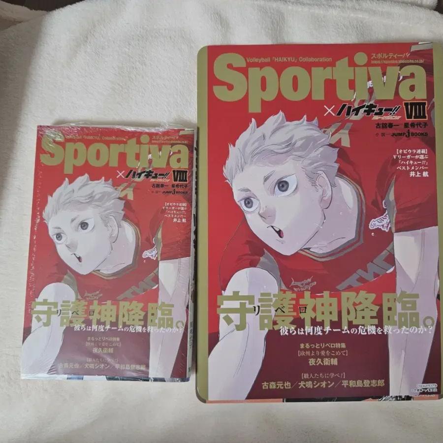 

Хайкю Яку Спортива