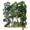 Green Leaf Wall Hanging With Soft Gel Material For Home Decor And Photography Props