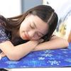 Cooling Mat,Cool Pillow Ice Pillow,Water Cooling Seat Cushion for Office Chair & Car,Soft Summer Ice Water Pad 45*45cm