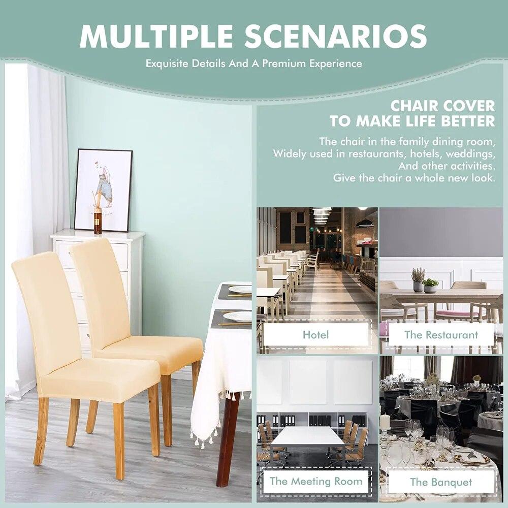 Waterproof Elastic Chair Cover Dining Room Solid Color Chair Slipcover Spandex Removable Chair Seat Cover for Kitchen Wedding