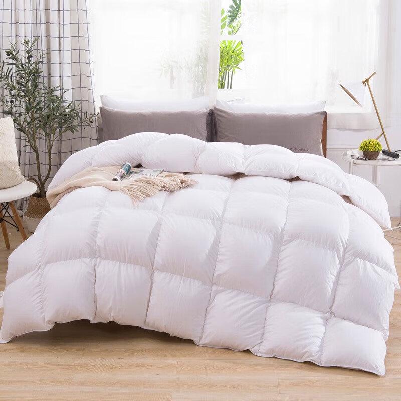 

Oudian Mengna Premium Fluffy Fiber Winter Comforter