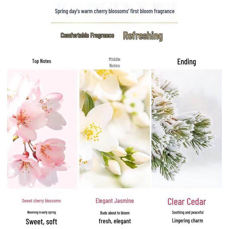 DOVE Cherry Blossom Sweet Scent Shower Set
