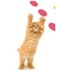 Funny Cat Toys Creative Turnip Gun with 15pcs Reusable Foam Disc Pet Hunting Interactive Toy Dog Cat Pet Supplies