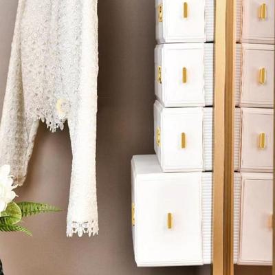 Plastic Underwear Storage Box Wall Mounted Space Saving Closet Storage Drawer Pull-out with Multiple Compartments