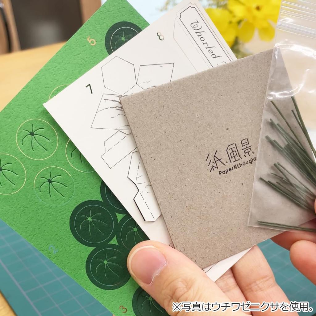 Gintopia Kit di Carta per Paesaggi Carta Artigianato per Piante in Carta Miniature Fatte a Mano con Custodia Acrilica per Adulti, (Monstera adansonii)