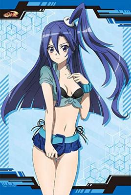 TV Anime Zesshou Symphogear B2 Tapestry Tsubasa Kazanar "Senki AXZ" (2)