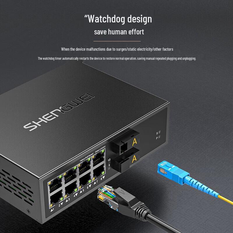 Shengwei Gigabit 2-Fiber 8-Ethernet Media Converter