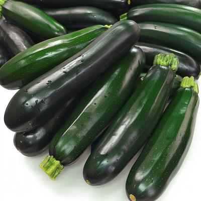 15 Black Beauty Zucchinisamen