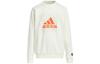 Kids Sweatshirts Crew Neck Moderate HZ0218