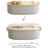 FIG Lacquered Single-Tier Lunch Box, 600ml, Beige, 024