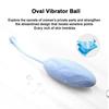 Kulevibrator Trådløs Fjernkontroll Vaginalkule Kegelkule Vibrerende Egg Masturbator Sexleketøy