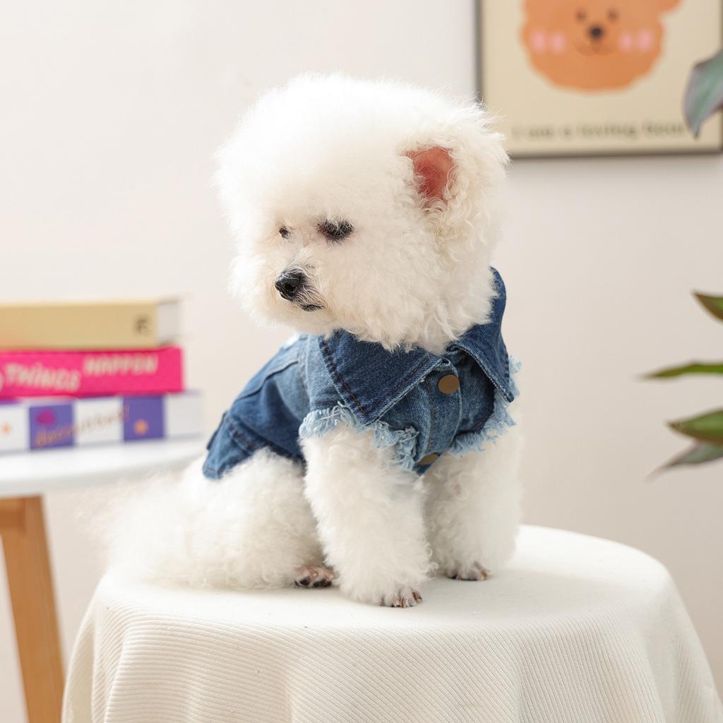 Pet Clothes Autumn and Winter New Small Dog Puppies Happy Dog Cat Warm Comfortable Retro Cool Denim Clothes