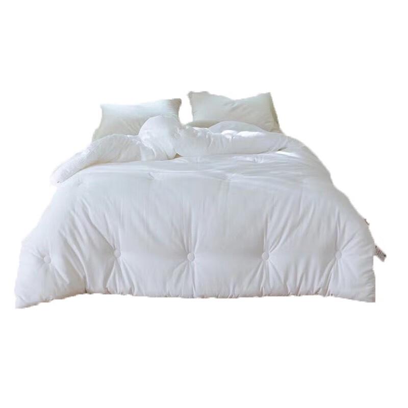 

MZSJ Washed Cotton All-Season Quilt