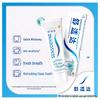 Sensodyne Mint Fresh Deep Clean Toothpaste