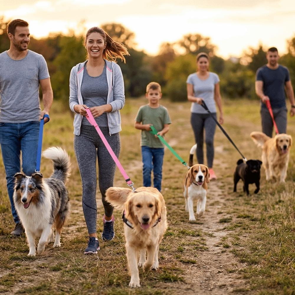 

Polypropylene Fiber Dog Training Lead 10m Length Pet Walking Leash Outdoor Walking червоний