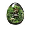 Creative Egg-Shaped Glass Terrarium for Succulents and Moss