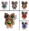 Fashionable and personalized alloy diamond studded owl animal brooch for both men women, popular chest accessories