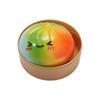 Regenbogenfarbe Quetsch-Knödel Langsam aufsteigender Sensorischer Fidget Ball Knödel Quetschspielzeug Kinder Erwachsene