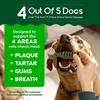 Tandbid til Hunde, Dyrlægeanbefalede Mynte & Te Smagende Tandhundegodbidder til Små Hunde, Ben Renser Tænder, Bekæmper Dårlig Ånde