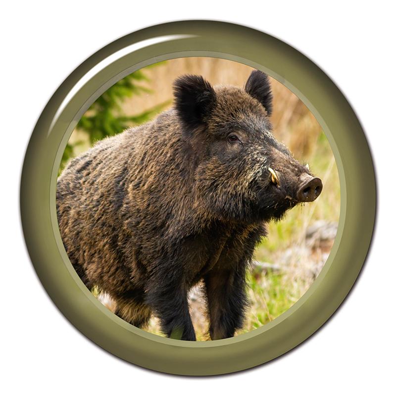 Adesivo Auto Cinghiale Animali del Bosco Impermeabile Finestrino Posteriore Moto Camper Paraurti Camion Laptop Decorazione #SJ05