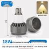 Becuri LED – Becuri și tuburi LED